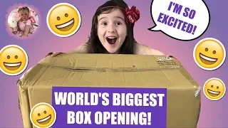 *WORLD RECORD* BIGGEST REBORN BOX OPENING EVER! HOW MANY BABIES ARE THERE?