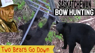 Black Bear Hunting with Bow//Bear Hunting in Saskatchewan at Blueberry Hill Outfitters Again