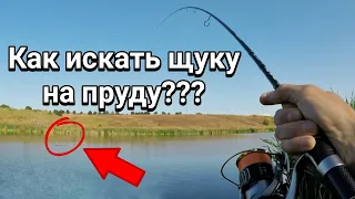 Как искать щуку на пруду??? Ловля щуки на ДЖИГ-РИГ!