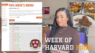 A WEEK OF HARVARD FOOD | maya lauren