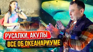 Обратная сторона океанариума Астаны #казахстан #другиеместа