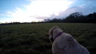 HOME ft Izzy - GoPro Hero 4 Edit (HD)