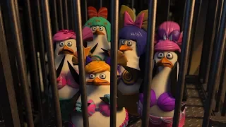 DreamWorks Madagascar | Need A Test Subject | Penguins of Madagascar Clip