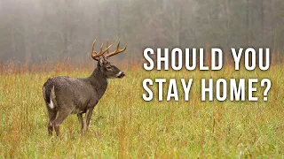 Should You Be Deer Hunting In The Rain?