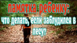 Памятка ребенку➤Что делать, если заблудился в лесу➤Как не заблудиться в лесу