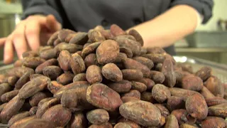 Fruition Chocolate: Handcrafted from Bean to Bar in Small Batches