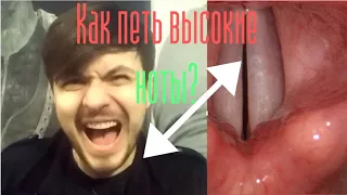 Как петь высокие ноты не напрягаясь? Как научиться петь? Уроки вокала