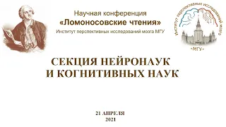 Научная конференция "Ломоносовские чтения", секция нейронаук и когнитивных наук