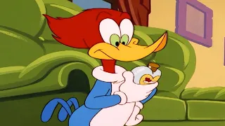 Woody Woodpecker | Love Potion + More Full Episodes