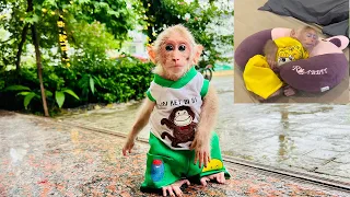 Monkey BiBi ran away from home to meet It was raining, so BiBi came back home!