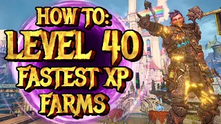 Wonderlands How To: Level 40 Fast! Best Solo and Multiplayer Methods! (Wonderlands XP Farm)