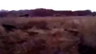 Донецк Donets'k 22 10 2014  Танки Украинской армии ведут огонь по позициям Ополчения