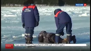 Рыбаки проваливаются под лёд с детьми Ужас посмотрите как спасаются весной на рыбалке