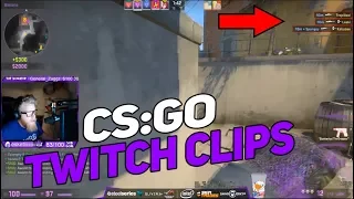 CS:GO TWITCH CLIPS #8 - ( s1mple,  Ant1ka, tarik, FalleN, fl0m, 1mpala, JASONR, s0mcs )