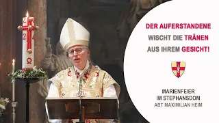 Marienfeier im Stephansdom mit Abt Maximilian Heim