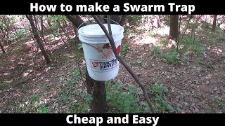 How to make a Swarm Trap (Cheap and Easy)