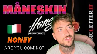 Måneskin 🇮🇹- HONEY (ARE YOU COMING?) Lyric Video [REACTION!!!]