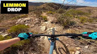 Exhilarating, Exhausting, Bucket List Ride | The Lemmon Drop | Mountain Biking Tucson Arizona
