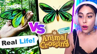 Animal Crossing VS Real Life