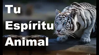 Tu Espíritu Animal, Según tu Signo del Zodiaco