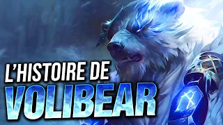 HISTOIRE DE CHAMPION : VOLIBEAR