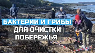 Научная школа биоремедиации арктического побережья прошла в Мурманске