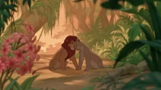 Lion King-can you feel the love tonight-Eric S