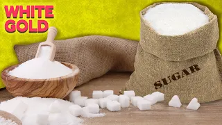 The Not So Sweet Secrets of the Sugar Industry