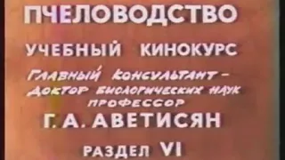 технология производства продуктов пчеловодства