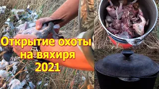 Открытие охоты на вяхиря 2021