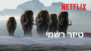 החיים על פני האדמה | טיזר רשמי | Netflix