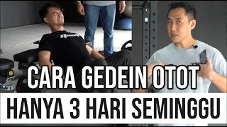 PROGRAM LATIHAN MEMBANGUN OTOT 3 HARI DALAM SEMINGGU