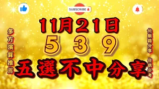 今彩539｜11月21日｜上期過關｜五選不出牌｜版路分享｜預測推薦｜樂透資訊｜查理539