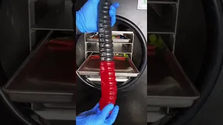 Worlds LARGEST GUMMY WORM in FREEZE DRIER! 🤯🪱 #freezedriedcandy #gummy