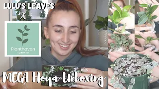 MASSIVE Hoya Haul & Unboxing | Planthaven Toronto