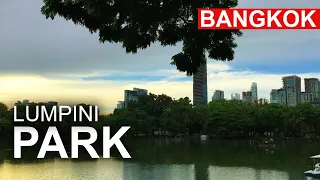 Bangkok Green Parks - Lumpini Park. Travel Location: Thailand 2020.