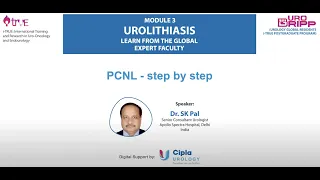 PCNL Step by Step Procedure: Puncturing Techniques; Triangulation Technique; Contrast; Guidewire;