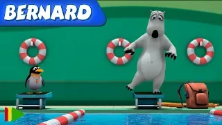 Bernard Bear | Natación Y MÁS | Dibujos animados para niños