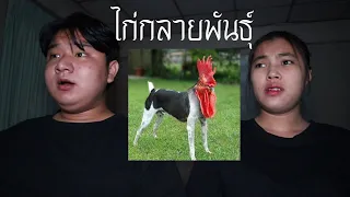 พวกเราซื้อ ไก่กลายพันธุ์ มาจาก Dark Web! | หลอนดาร์กเว็บ EP.31