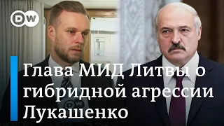 Гибридное оружие Лукашенко: сможет ли забор на границе Литвы перекрыть поток нелегальных мигрантов?