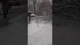 Одессу накрыл снегопад