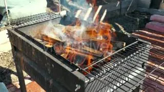 Grilled Meat on Barbeque