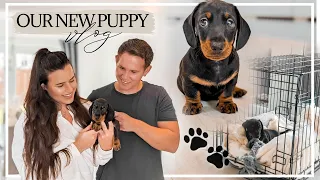 MEET OUR NEW PUPPY | PICKING UP OUR MINI DACHSHUND & FIRST FEW DAYS VLOG 🐾