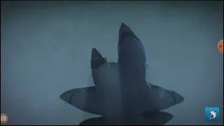 6-Headed Shark Attack / Music Video