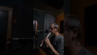 Brasileirinho - Flauta Doce - Marcello Moreno