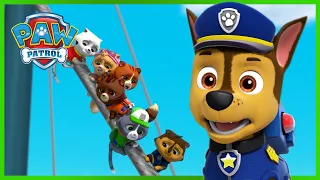 汪汪队终极救援：拯救皇家猫咪 - PAW Patrol 汪汪队立大功 - 儿童卡通