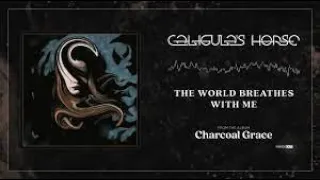 1st Reaction-HOLY MOLY GOOD(Caligulas Horse-The World Breathes with Me) Cucumber Stream-Final Song!