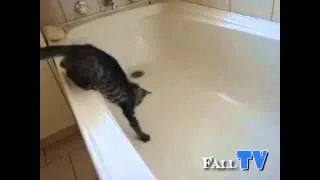 Кот упал в ванную.