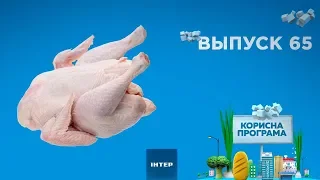 Как выбрать качественную птицу | ПОЛЕЗНАЯ ПРОГРАММА. Выпуск 65 — 25.12.2019