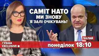 🔥КРИВАВИЙ І ТРИВАЛИЙ ШЛЯХ УКРАЇНИ ДО НАТО. Валерій Чалий відповідає Ларисі Губіній - ЧОМУ?